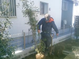 目隠し部分へ常緑樹の植栽