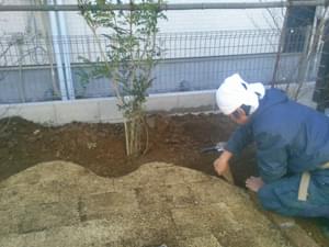 植栽に合わせた芝生エッジ