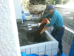 植栽場所へ客土