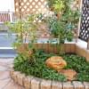 大田区Ｏ様邸植栽工事 花壇の中でシンボルツリーと石を合わせて、小庭の様な雰囲気を。