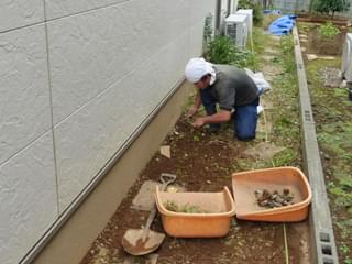 通路の雑草も除去します