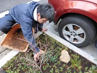 培養土の透き込み