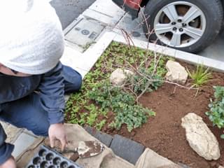 セダムやセキショウの植栽