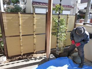 垣根前の空間にソヨゴを植栽