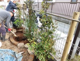 植栽を終え、土を混ぜ合わせて完成です