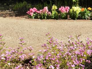 花の中を園路が進みます