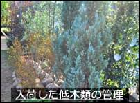 hatake7