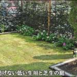 低い生垣で囲う明るい芝生ガーデン-江東区F様邸