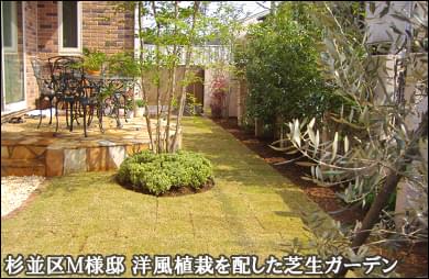 様々な洋風の植木をレイアウトした芝生ガーデン-杉並区M様邸