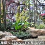 植栽と生垣の色彩が彩る芝生ガーデン-船橋市S様邸