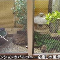 8-1-200x200.jpg