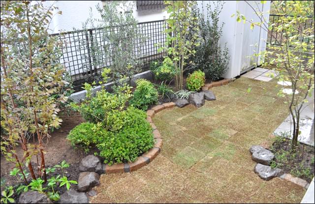 芝生と縁石、庭石を融合させた庭デザイン