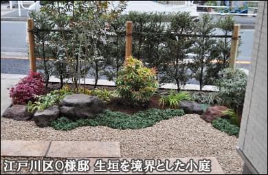 歩道を生垣で区切る小さな和風の庭-江戸川区O様邸