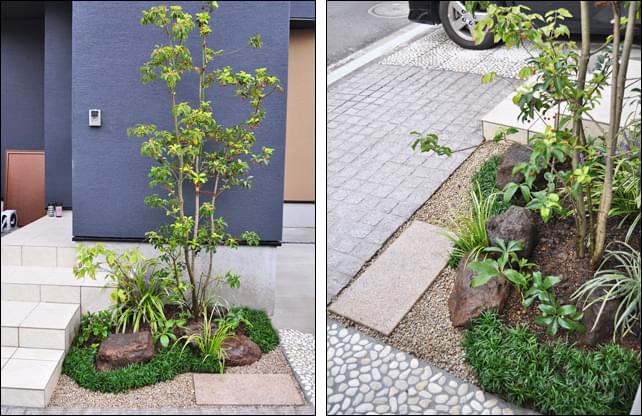 玄関前にシンボルツリーと下草類を合わせ 坪庭風のデザインに 市川市t様邸 小さな庭や坪庭の施工例 千葉県 東京都の造園 植栽 庭施工 造園業専門店 新美園