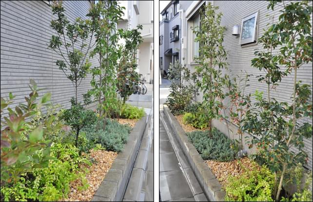 細長い花壇を植木レイアウトによって洋風の雰囲気に 足立区ｇ様邸 植栽の施工例 千葉県 東京都の造園 植栽 庭施工 造園業専門店 新美園