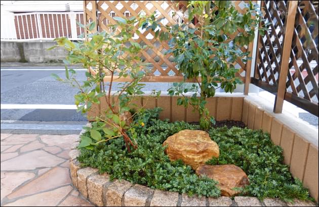 植木の濃緑色と庭石の茶系コントラスト