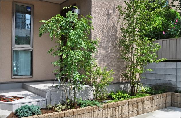 玄関脇の花壇へ目隠しを兼ねた自然味ある植栽を 市川市ｓ様邸 植栽の施工例 千葉県 東京都の造園 植栽 庭施工 造園業専門店 新美園