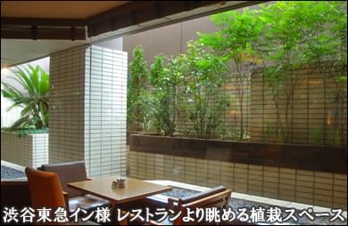 レストランより望む植栽のグリーン-渋谷東急イン様