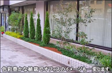 花壇内の植木を色彩豊かにリフォーム-墨田区オフィスビル