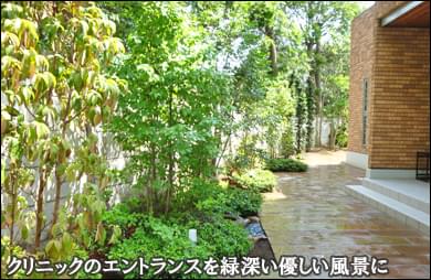 エントランスを植木の緑で鮮やかに-松戸市クリニック様