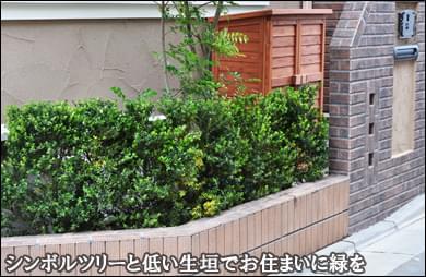 シンボルツリーと生垣でお住まいに緑を添えて-江戸川区Ｔ様邸