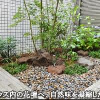 「秋人の庭」有明モミジ 石附※フローライト 秋人の庭」有明モミジ 石附※フローライト