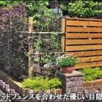 背の高い生垣により道路からお庭の目隠しを-鎌ヶ谷市Ｆ様邸