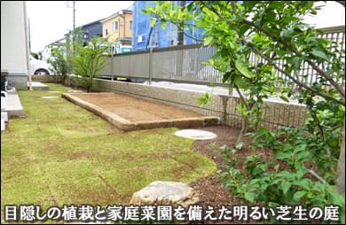 目隠しの植栽と家庭菜園を備えた芝生の庭-市川市T様邸