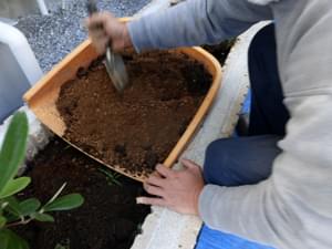土壌改良を伴う植栽