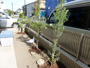 ポイントに配置した植栽