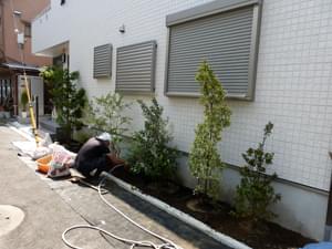 立ち木の植栽が整った様子