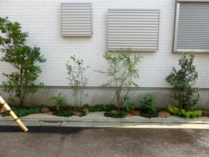 施工を終えた花壇の様子