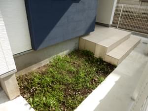 玄関横の植栽スペース