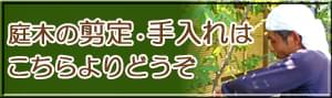 庭木の剪定・手入れ、伐採