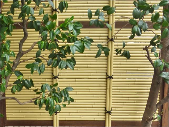 天然竹に見違える様な、立体加工が施された人工竹材
