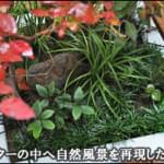 プランターの中へ自然風景を再現した植栽群を-世田谷区Ｈ様邸