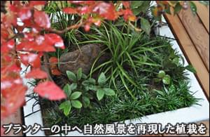 プランターの中へ自然風景を再現した植栽群を-世田谷区Ｈ様邸