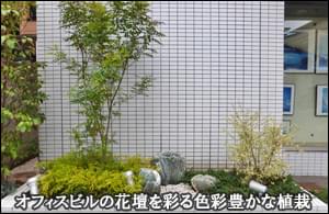 オフィスビル前の花壇の中へ色彩豊かな植栽を-江東区建設会社Ｙ様ビル