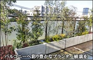 マンションバルコニーを植木が彩るプランター植栽-新宿区Ｏ様邸