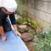 文京区Ｉ様邸造園工事-アプローチ沿いスペースを活かした小庭作りの様子