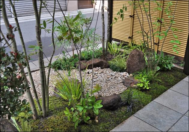 半日陰の環境と雑木の植栽が引き立たせる苔庭