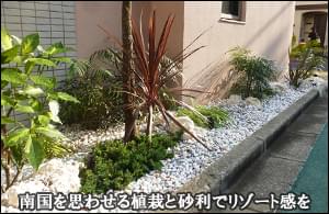 南国を思わせる植栽、琉球石灰岩・白砂利でリゾート感を-豊島区Ｓ様邸