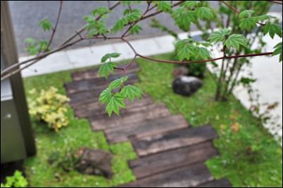 お庭のデザイン 玄関や花壇への植栽 庭木選びのヒント集 千葉県 東京都の造園 植栽 庭施工 造園業専門店 新美園