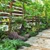 日陰の庭（シェードガーデン）の基礎とデザイン実例-日陰向きの植物38種類もご紹介