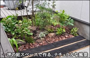 小さな庭でデザインする、雑木と下草のナチュラル感-文京区Ａ様邸