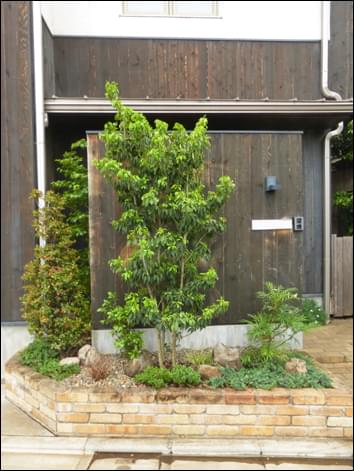 シンボルツリーを背景に寄せて引き立てる