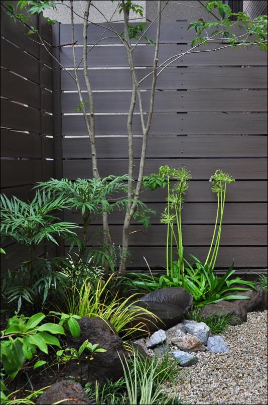 植栽の小さな葉まで浮き上がらせるスクリーン効果