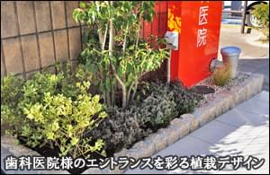 クリニックのエントランスを彩る植栽デザインを-世田谷区歯科医院様