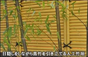 目隠しをしながら黒竹を引き立てる人工竹垣-足立区Ｓ様邸