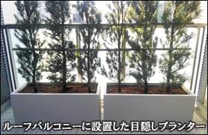 ルーフバルコニーへ目隠しのプランター生垣を 船橋市ｓ様邸 植栽の施工例 生垣の施工例 千葉県 東京都の造園 植栽 庭施工 造園業専門店 新美園